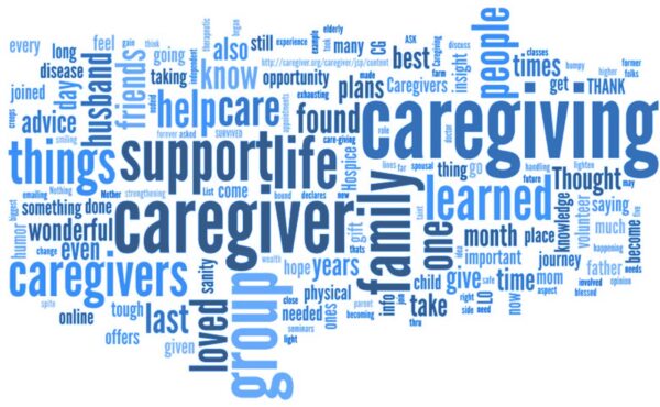 Cerna franchise support